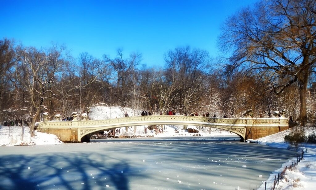 central park, new york city, landmark-178379.jpg