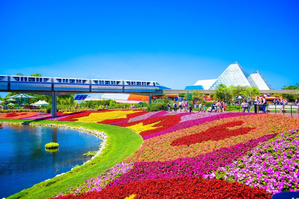 parks, orlando, florida, beautiful flowers, fun, garden, flowers, nature, earth, flower background, travel, flower wallpaper, traveling, colorful-2090602.jpg