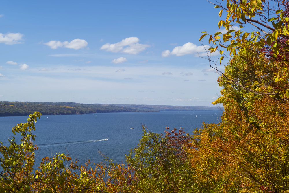 אגם קיוגה Cayuga