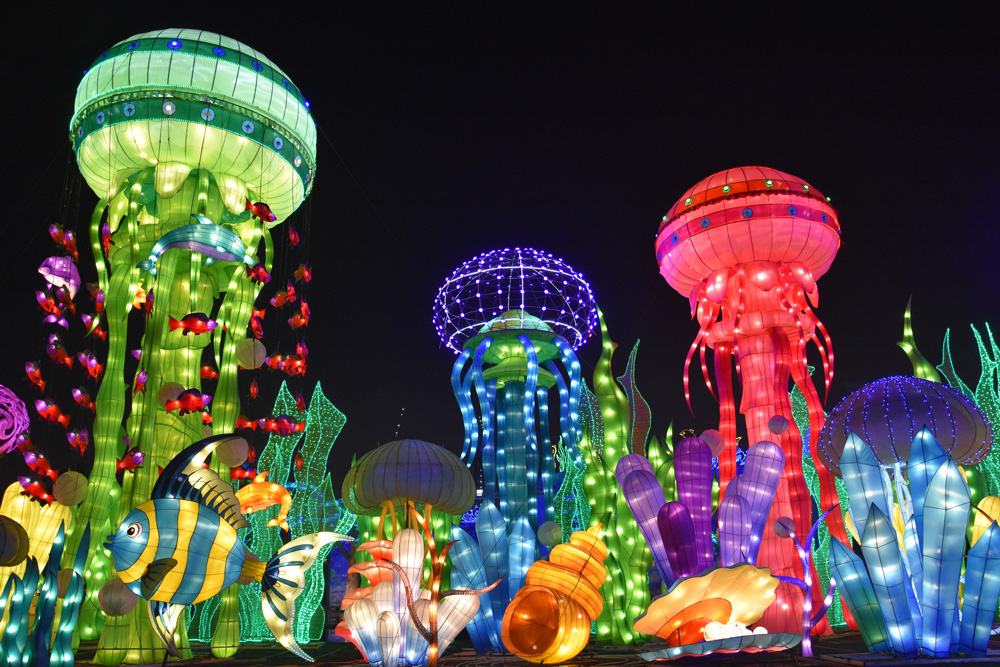 תערוכת האורות ופארק הדינוזאורים דובאי