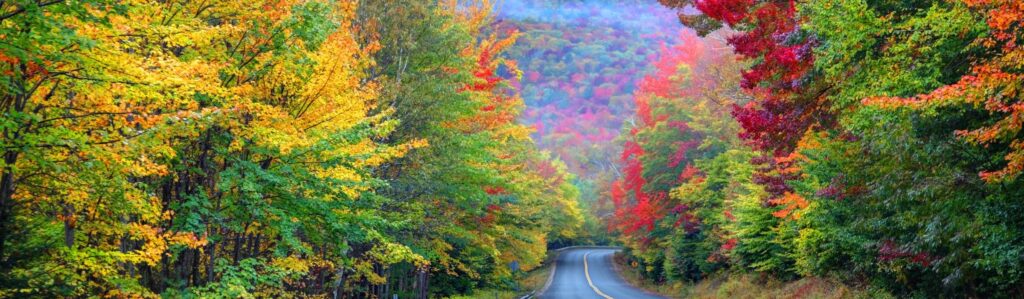 ההרים הלבנים