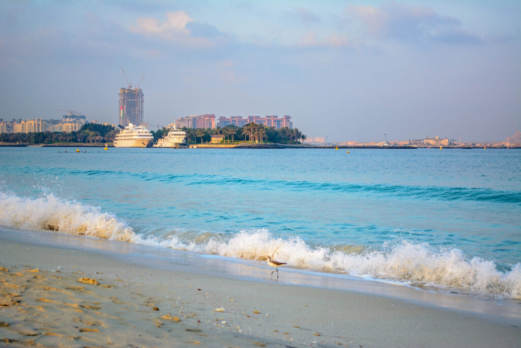 חוף Al Sufouh, דובאי